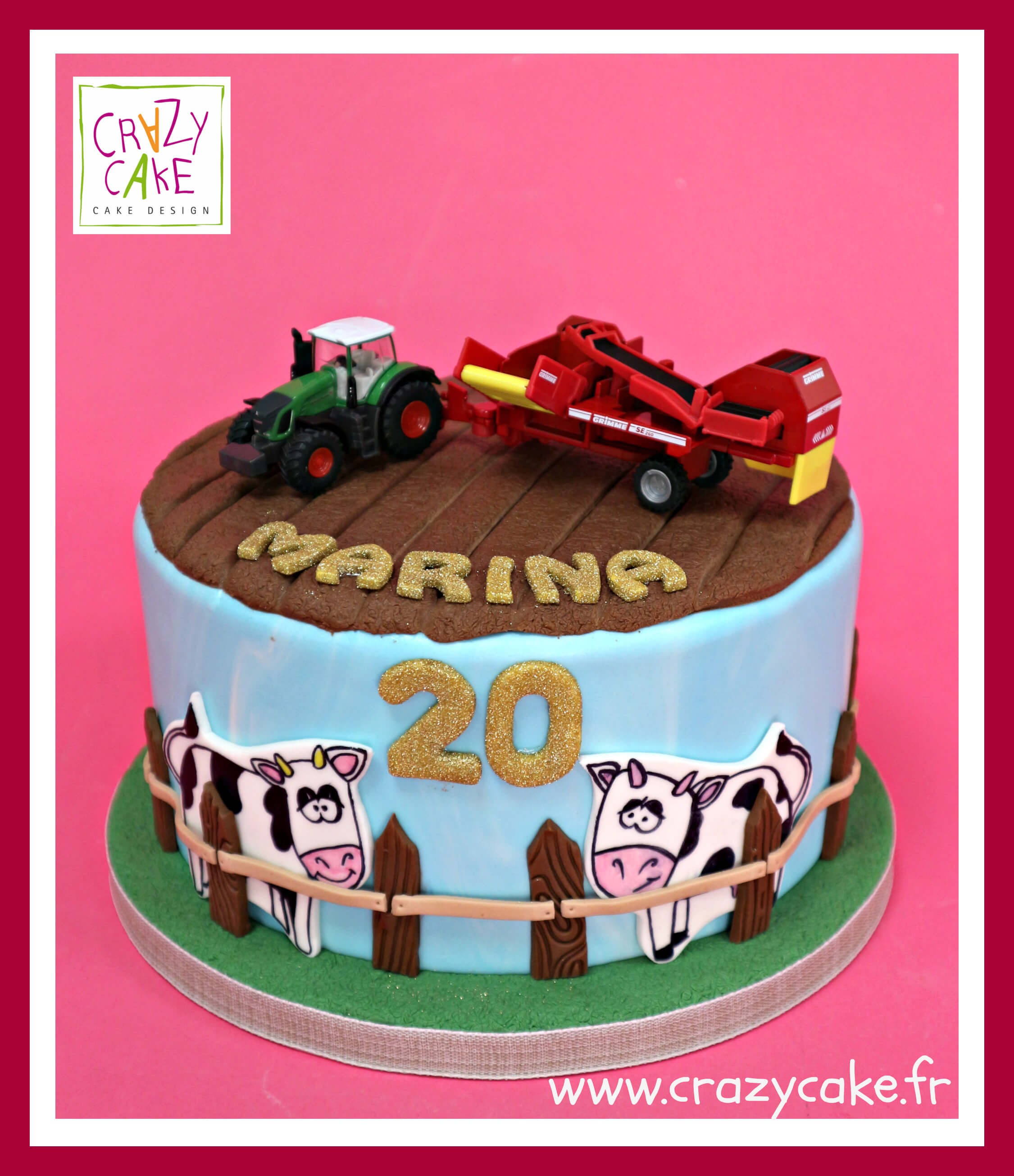 Gâteau d'anniversaire "Un monde agricole"